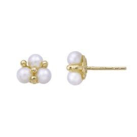 Hudson 9ct Gold Earrings