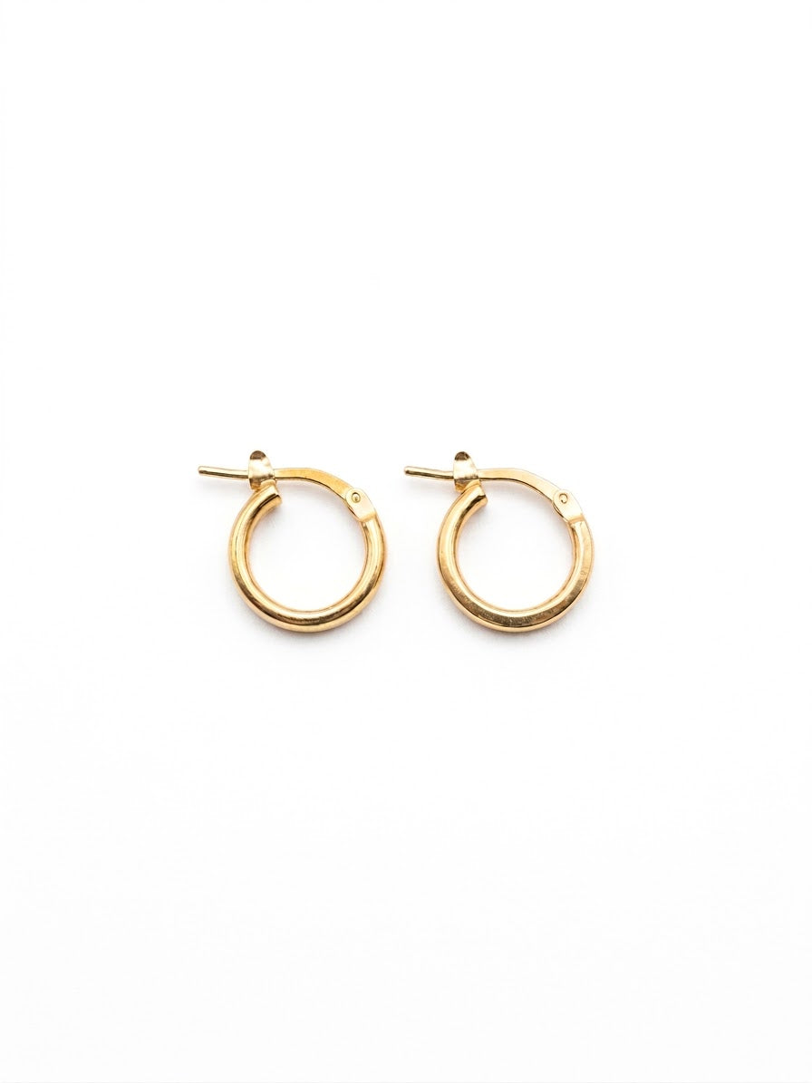 Aoibhe Gold Plated Hoop Earrings