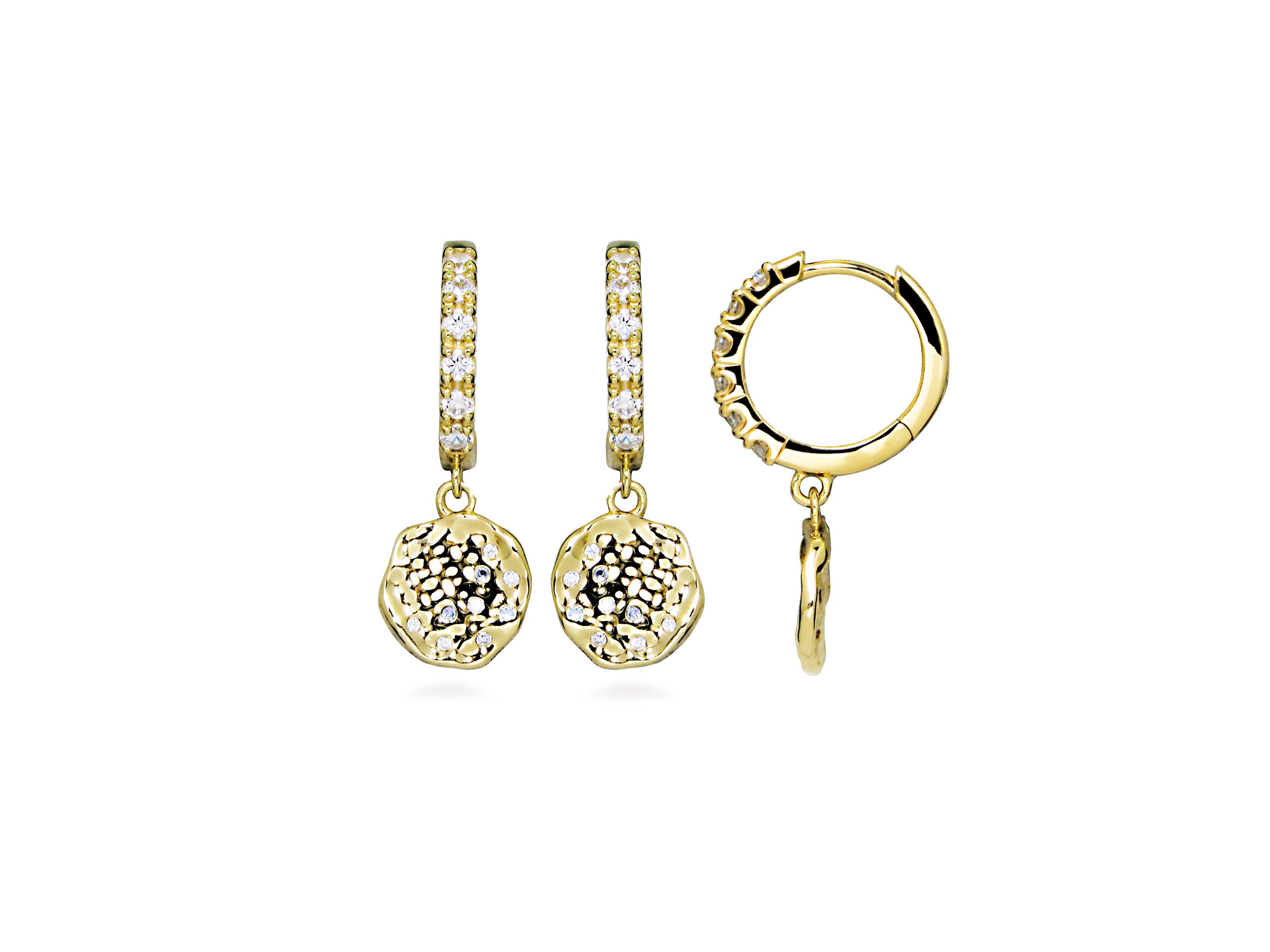 Oakley Earrings
