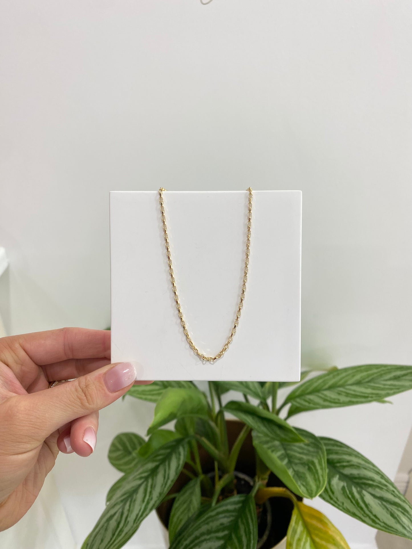 9ct Gold Diamond Cut Oval Belcher Chain