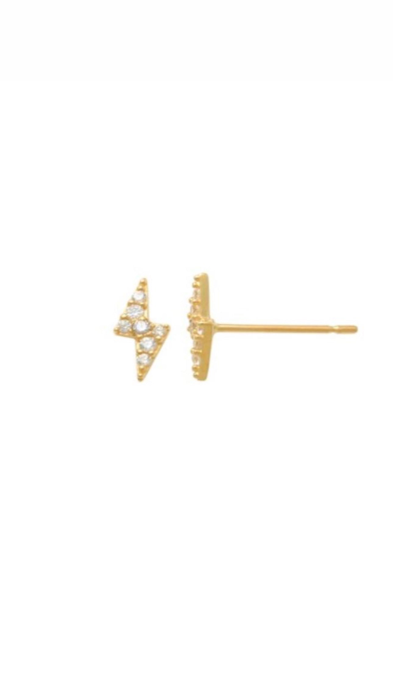 Hunter Earrings