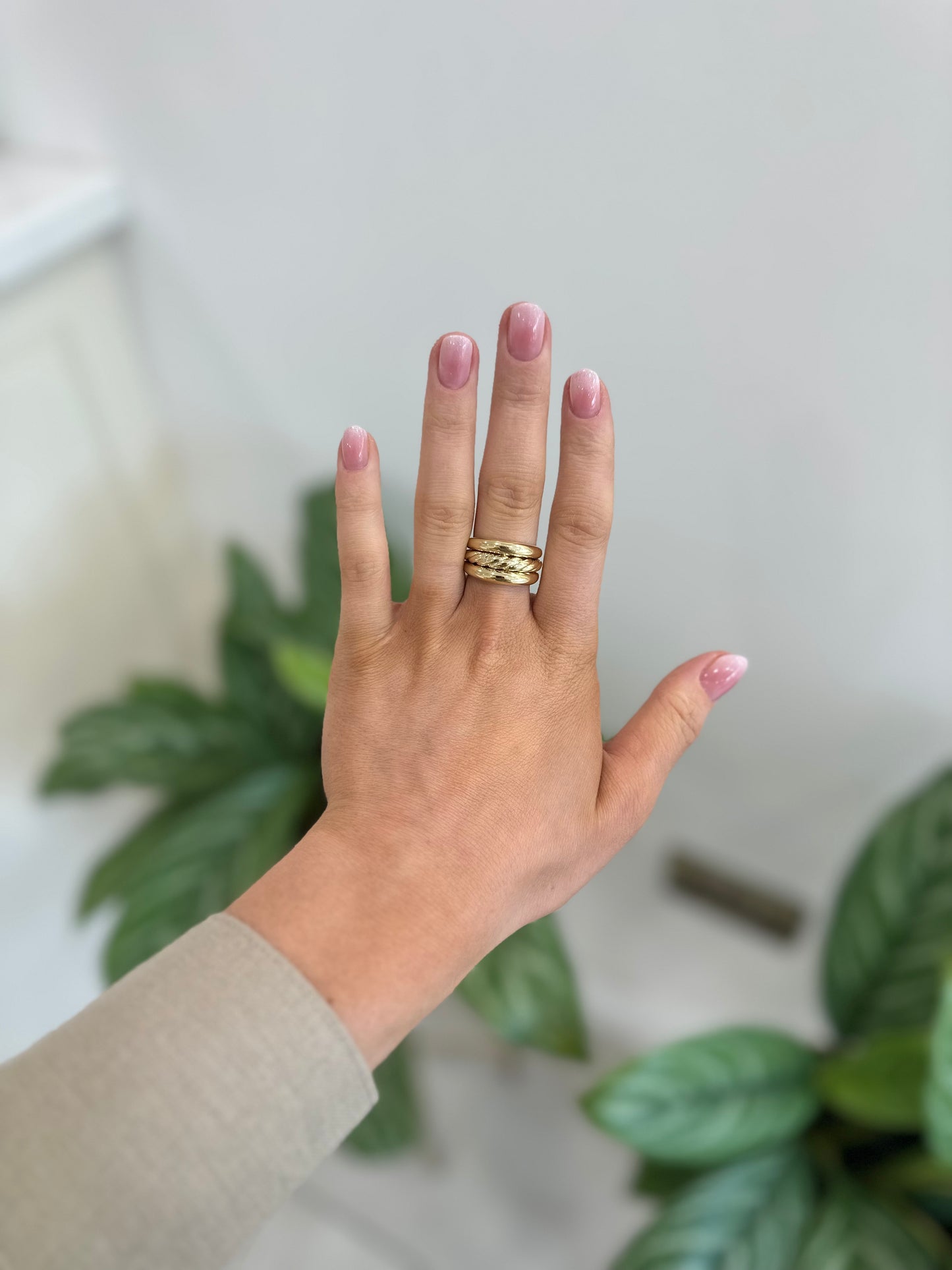 Indiana Ring