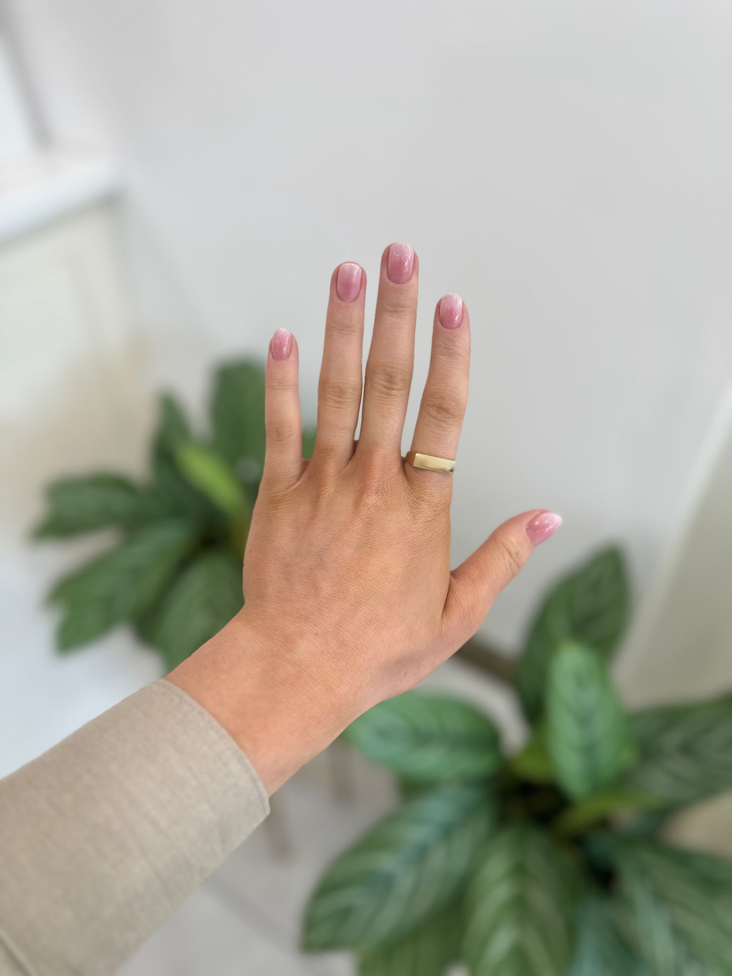 Axie Ring