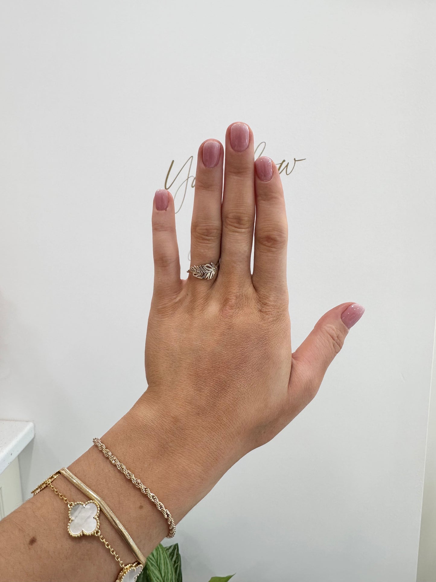 Nicki Ring