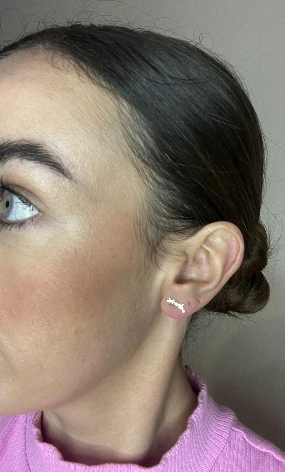 Lee 9ct Gold Earrings