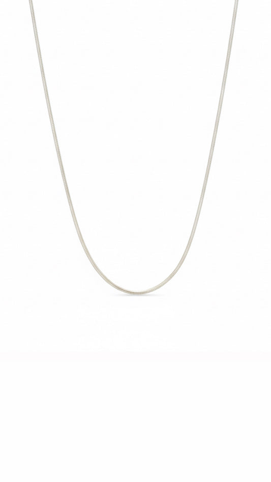 Silver Snake Chain