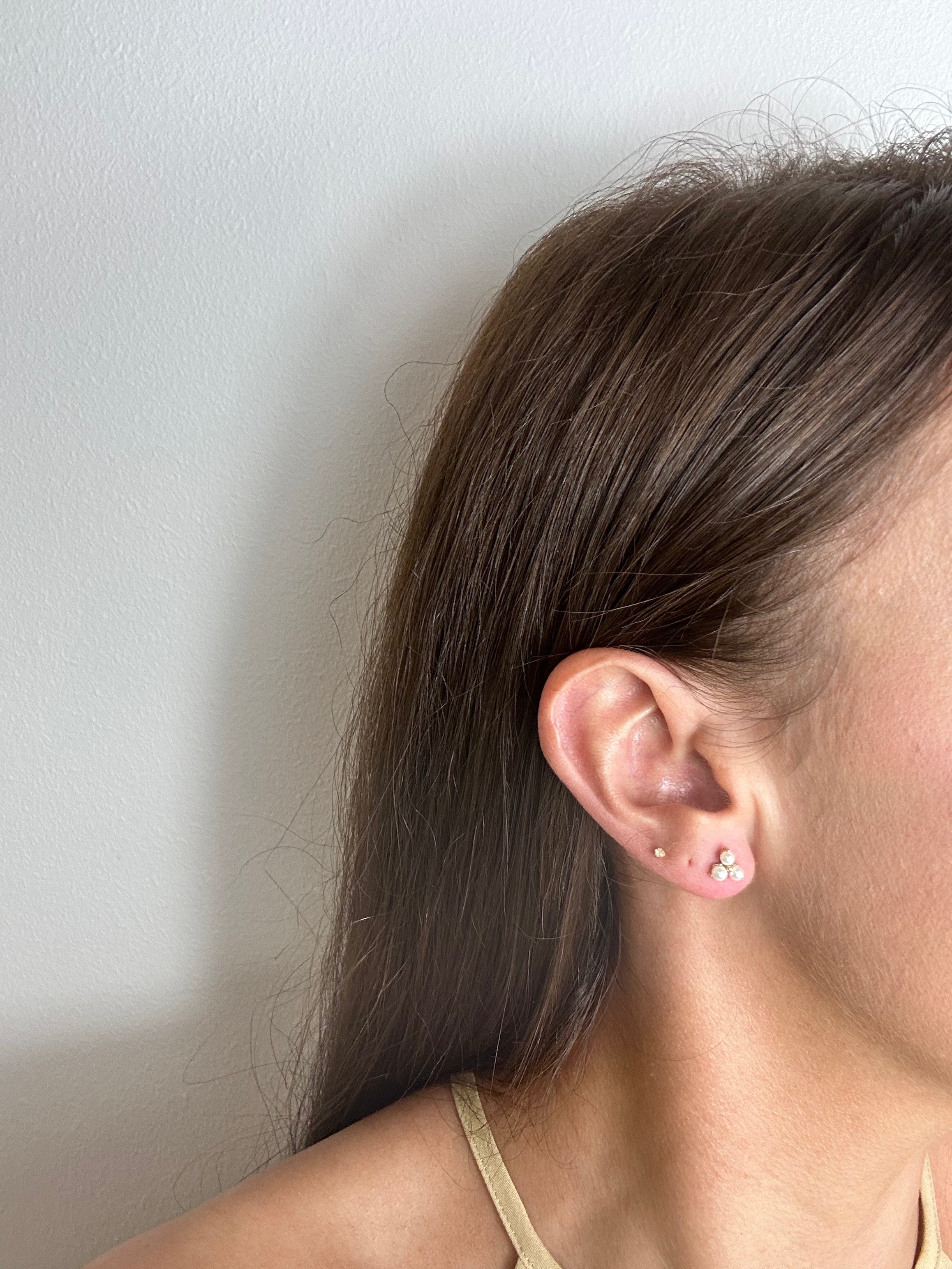 Alda Gold Plated Earrings